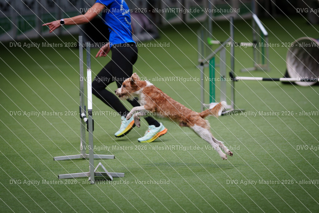 allesWIRTHgut_Tierfotografie-DVG_Agility_Masters_2026-09_17-7R509046 | Professionelle Tierfotografie in Mönchengladbach von Daniel Wirth (allesWIRTHgut). Liebevolle & natürliche Bilder von Hunden & Katzen für unvergessliche Erinnerungen.