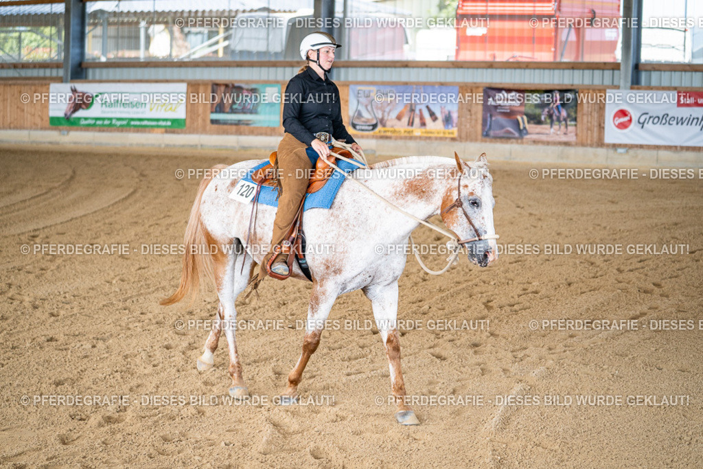 DSC01956 | Pferdegrafie