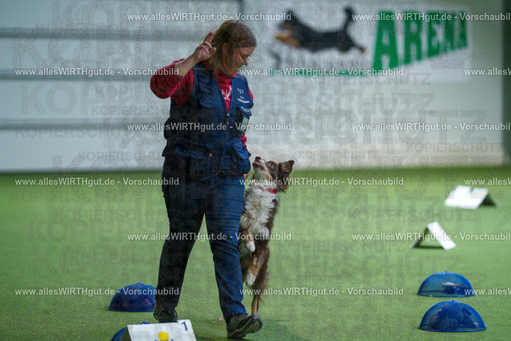 7R506107 | Professionelle Tierfotografie in Mönchengladbach von Daniel Wirth (allesWIRTHgut). Liebevolle & natürliche Bilder von Hunden & Katzen für unvergessliche Erinnerungen.