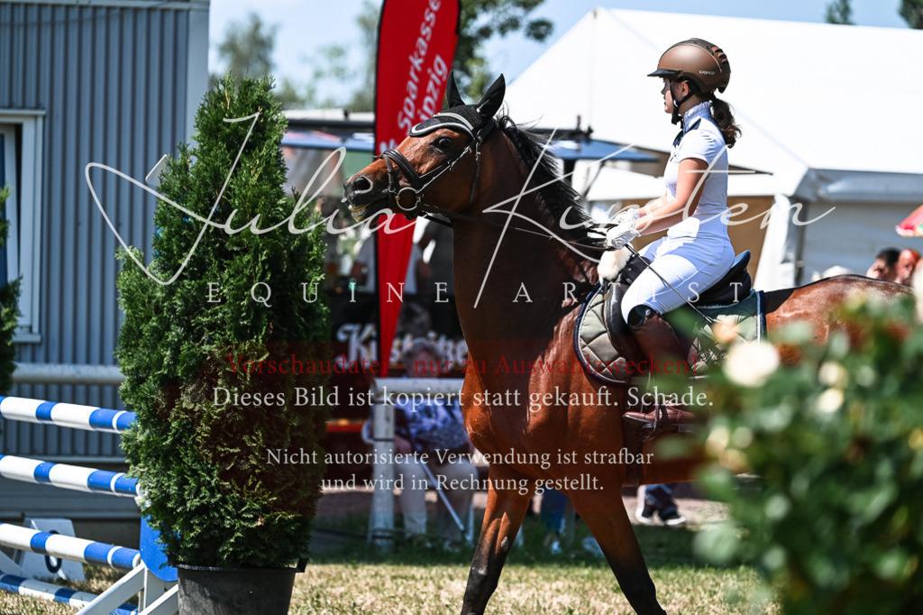 DSC_0387 | Pferde- und Turnierfotografie in Westsachsen. Pferdeportraits, Auftragszeichnungen und intuitive Kunst.