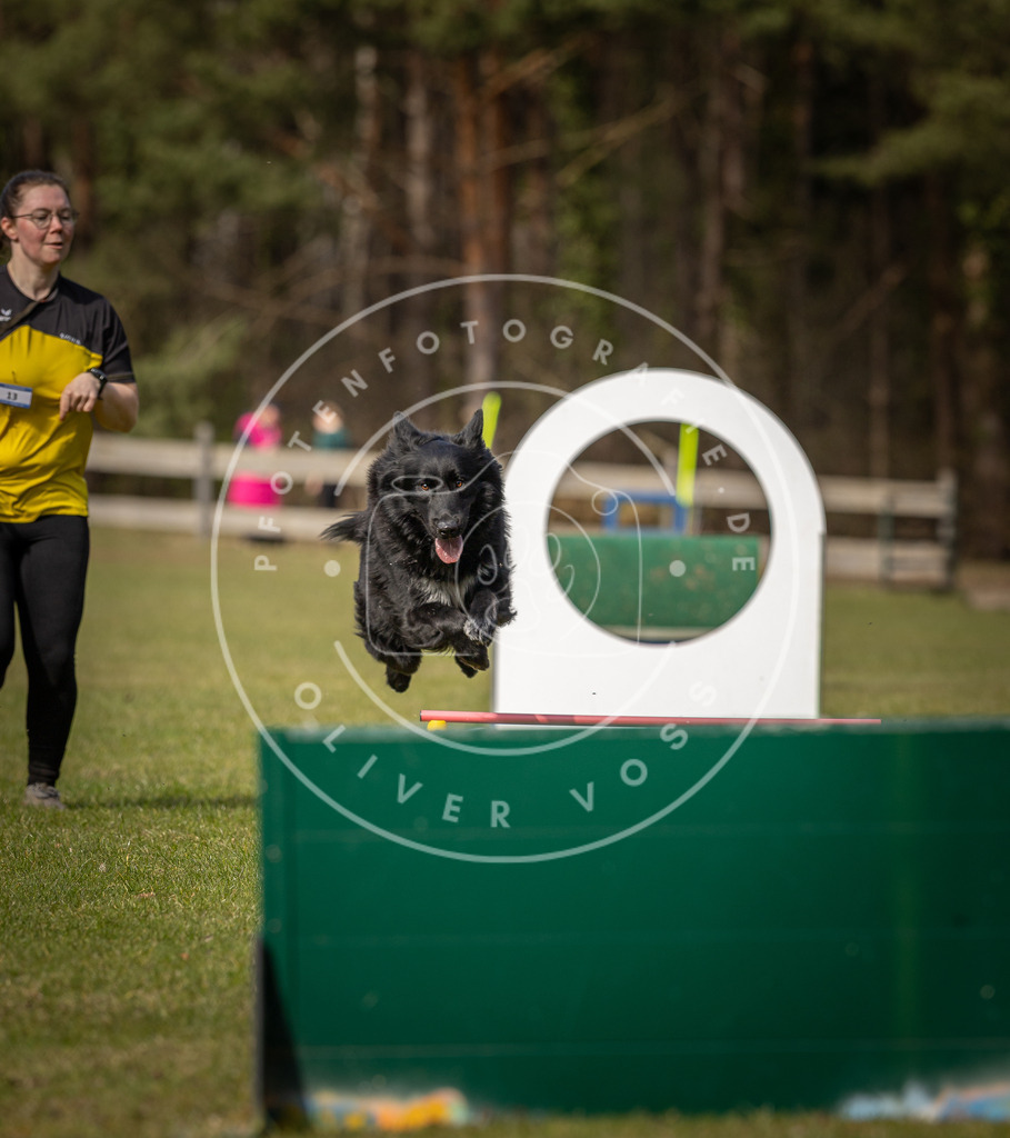 Pfotenfotografie_DV3A0710 | Hundefotografie, Tierfotograf, Pfotenfotografie, Fotoshooting Hund, Hunde Portrait, Hundesport, Hundeportraits, Heideshooting, Hunde, Sportfotograf, Hundefotograf, Turnierhundsport, THS,  - Realisiert mit Pictrs.com