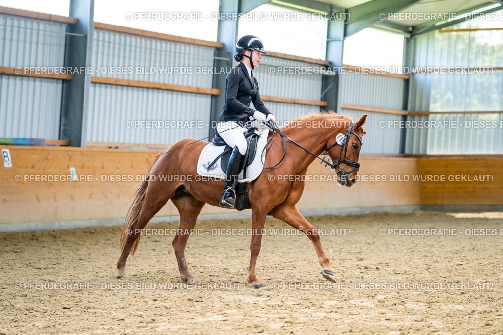 DSC05216 | Pferdegrafie