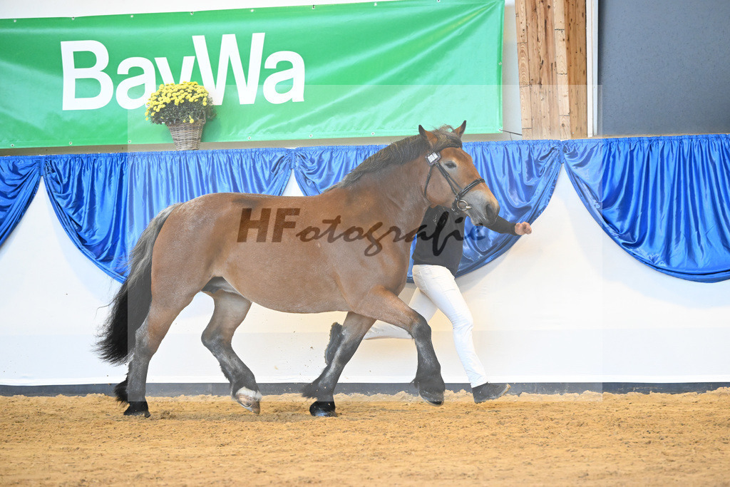 Kat-Nr. 15 Nelly_Platzeck_53221016 | hf-fotografie - Realizzato con Pictrs.com
