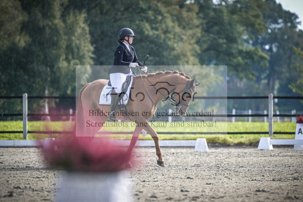 DOS_1320 | Entdecke hochwertige Reitturnierfotos von Foto Oger. Professionell, emotional und authentisch – jetzt Lieblingsmomente im Shop bestellen.Deutschlandweite Turnierfotografie. - Realisiert mit Pictrs.com