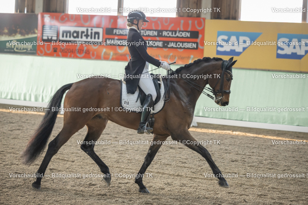 _D5A7775 | Emotionale Pferde- & People-Fotografie rund um Heidelberg, Leimen & Umgebung. Natürliche Fotos von Pferd, Mensch & Familie. Jetzt Termin sichern!