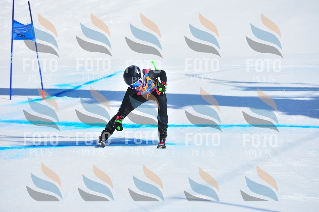 DSC_4481 | holidayphoto