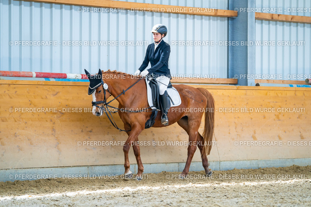 DSC08481 | Pferdegrafie