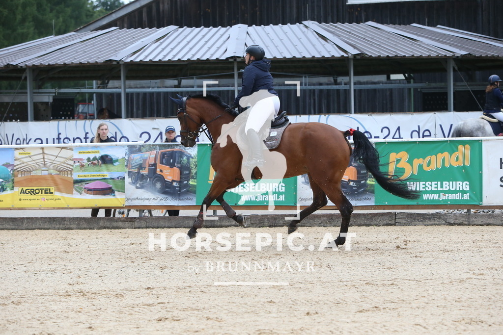 DL2Q3882 | Willkommen bei Brunnmayr - Design & Fotografie – Ihrem Spezialisten für Reitturniere und Pferdeveranstaltungen in Oberösterreich, Salzburg und Bayern! Seit über 17 Jahren sind wir leidenschaftlich dabei.