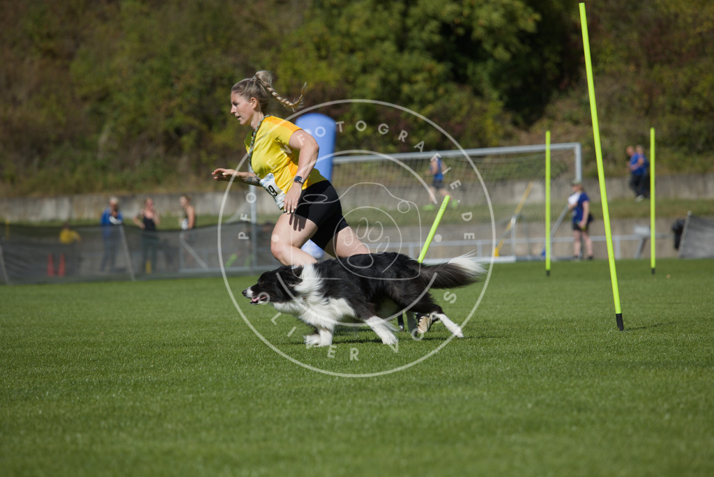 0L8A5853 | Hundefotografie, Tierfotograf, Pfotenfotografie, Fotoshooting Hund, Hunde Portrait, Hundesport, Hundeportraits, Heideshooting, Hunde, Sportfotograf, Hundefotograf, Turnierhundsport, THS,  - Realisiert mit Pictrs.com