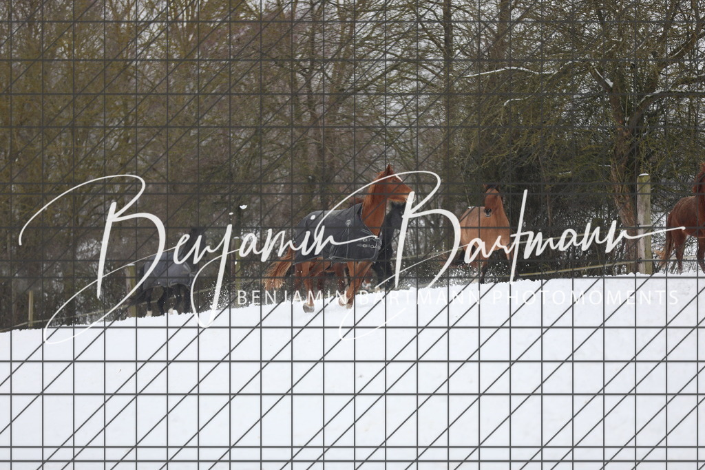 AZ2A3329 | Benjamin Bartmann Photomoments