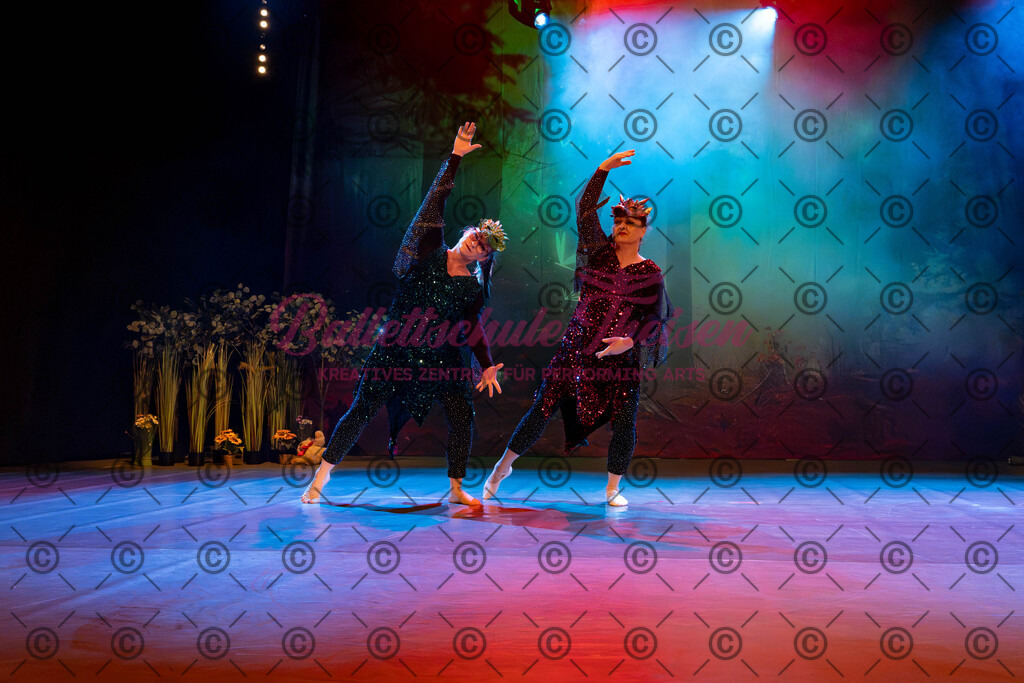 Ballettaufführung-231 | Bildershop Lem'n Entertainment - Realisiert mit Pictrs.com