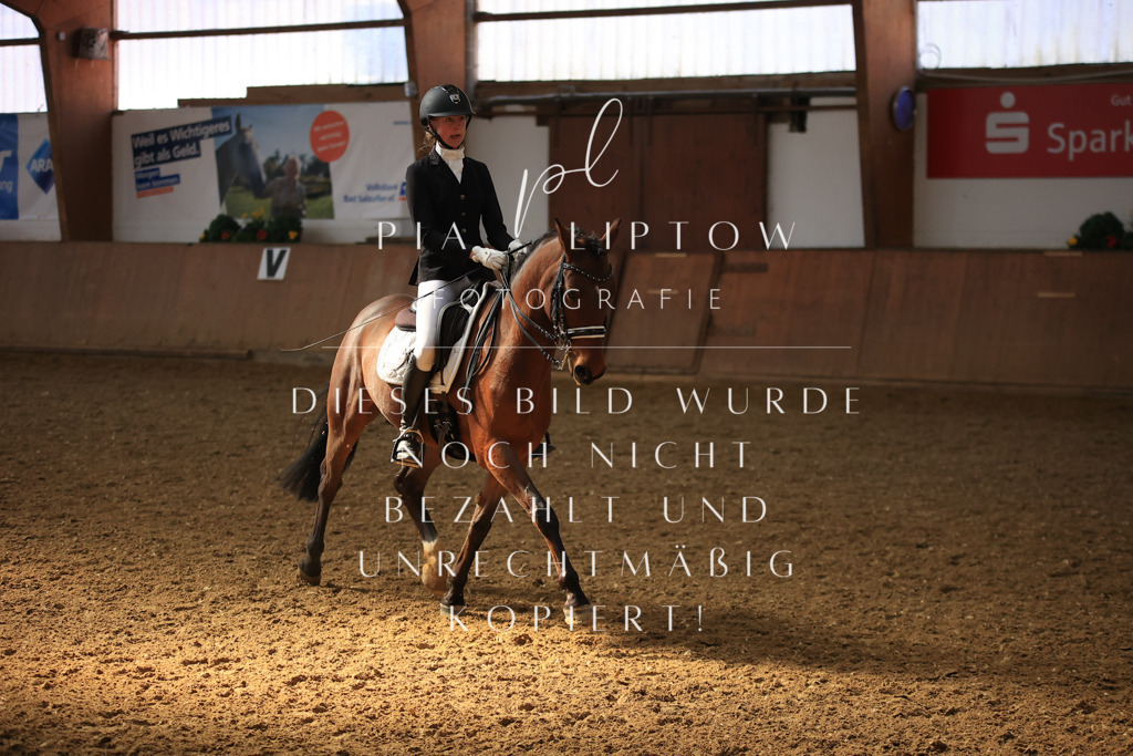 IMGT3319 | pl-fotografie