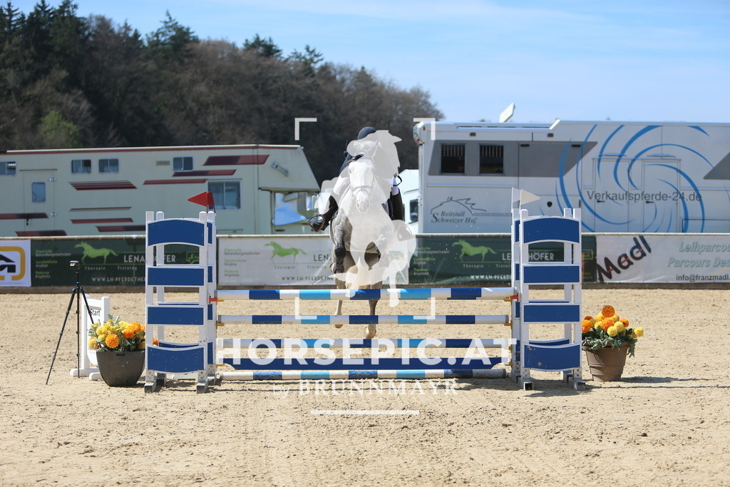 DL2Q0226 | Willkommen bei Brunnmayr - Design & Fotografie – Ihrem Spezialisten für Reitturniere und Pferdeveranstaltungen in Oberösterreich, Salzburg und Bayern! Seit über 17 Jahren sind wir leidenschaftlich dabei.