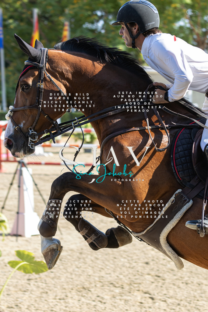 IMG_9228 | s-jay-photography - Realisiert mit Pictrs.com