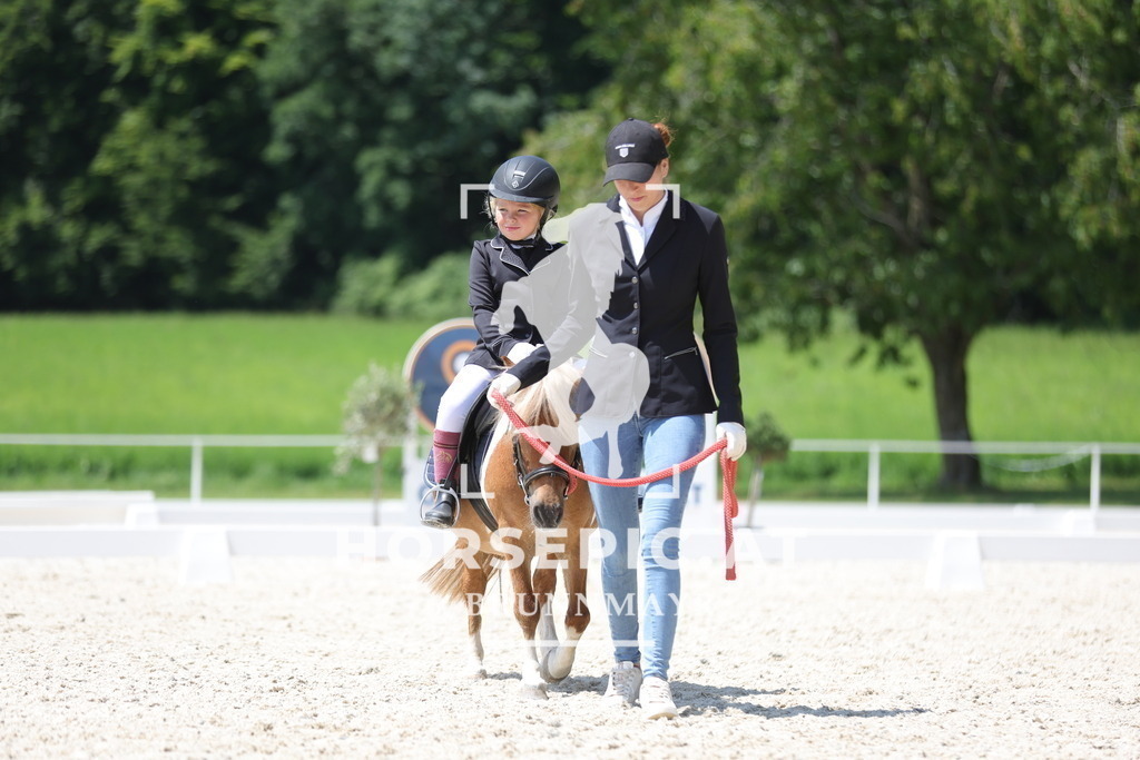 0P6A5805 | Willkommen bei Brunnmayr - Design & Fotografie – Ihrem Spezialisten für Reitturniere und Pferdeveranstaltungen in Oberösterreich, Salzburg und Bayern! Seit über 17 Jahren sind wir leidenschaftlich dabei.
