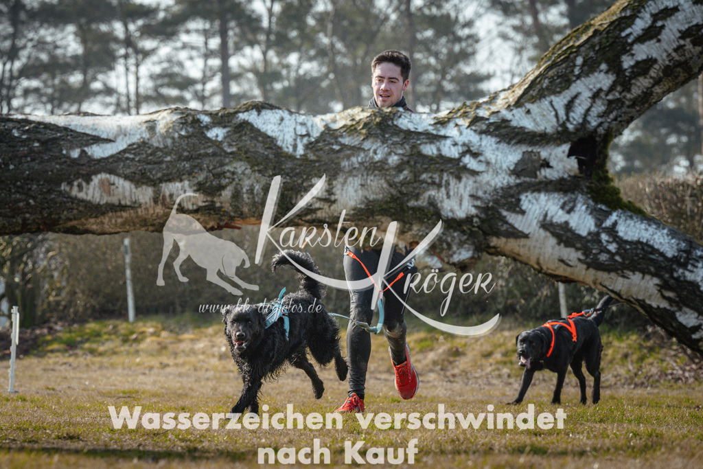 1000_ZZ90561 | kk-dogfotos