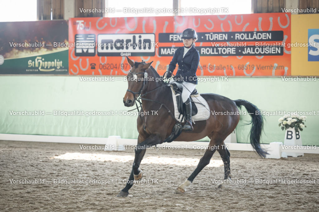 _D5A8991 | Emotionale Pferde- & People-Fotografie rund um Heidelberg, Leimen & Umgebung. Natürliche Fotos von Pferd, Mensch & Familie. Jetzt Termin sichern!