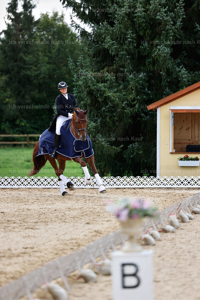 10-Siegerehrung-ST.GEORG SPECIAL -StoibPH-3299 | working equitationturnier fotograf videograf stoibphotography marixx film working equitation deutschland reitsport turnierfotografie eventfotografie equestrian events