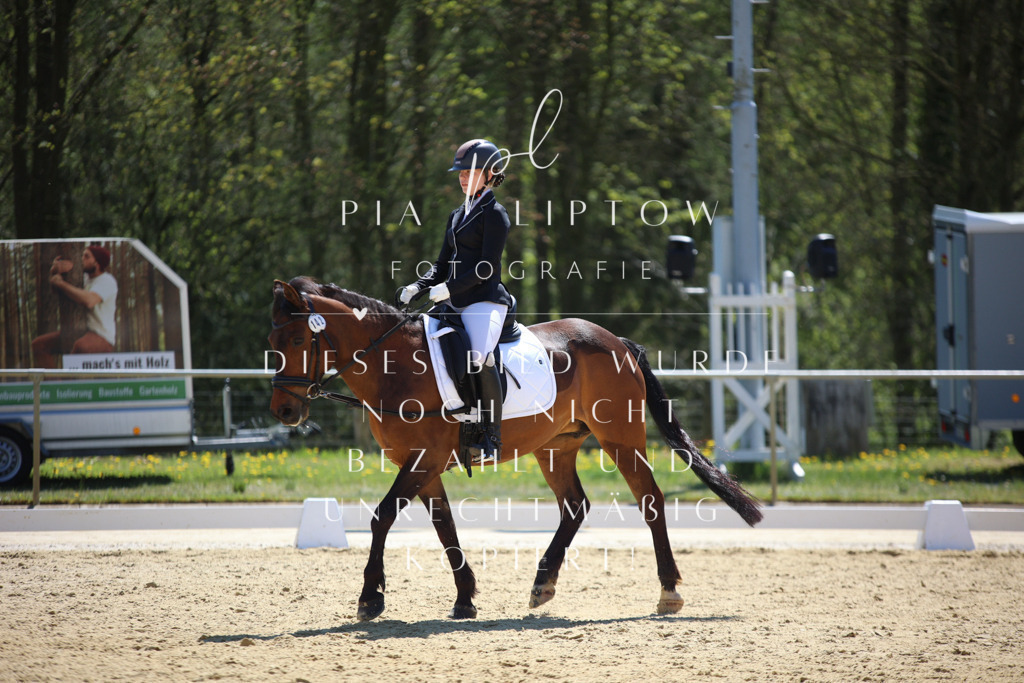 IMGT0773 | pl-fotografie