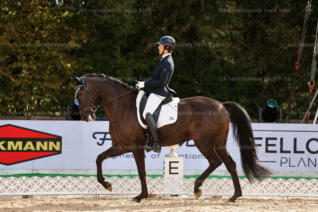 02-204-DRESSUR L_  -StoibPH-4791 | working equitationturnier fotograf videograf stoibphotography marixx film working equitation deutschland reitsport turnierfotografie eventfotografie equestrian events