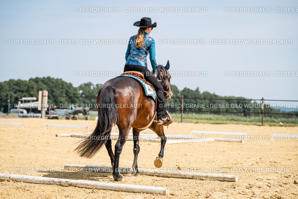 DSC00719 | Pferdegrafie