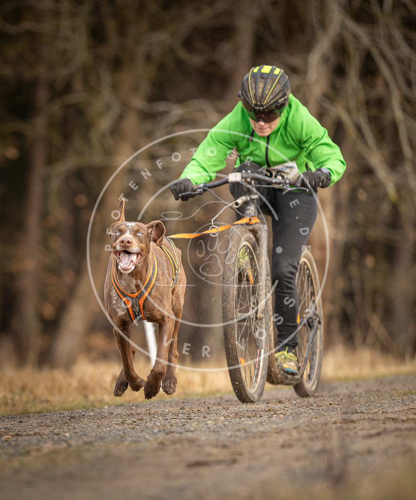 DV3A3472 | Hundefotografie, Tierfotograf, Pfotenfotografie, Fotoshooting Hund, Hunde Portrait, Hundesport, Hundeportraits, Heideshooting, Hunde, Sportfotograf, Hundefotograf, Turnierhundsport, THS,  - Realisiert mit Pictrs.com
