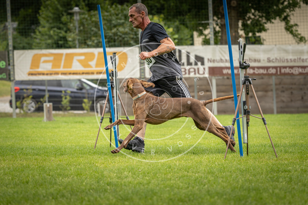 Pfotenfotografie_DV3A8412 | Hundefotografie, Tierfotograf, Pfotenfotografie, Fotoshooting Hund, Hunde Portrait, Hundesport, Hundeportraits, Heideshooting, Hunde, Sportfotograf, Hundefotograf, Turnierhundsport, THS,  - Realisiert mit Pictrs.com