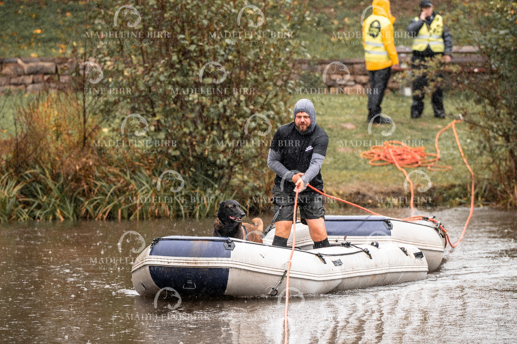 madeleinebirr-fotografie2025.campcanis.11-12Uhr-397 | hundefotografie-birr