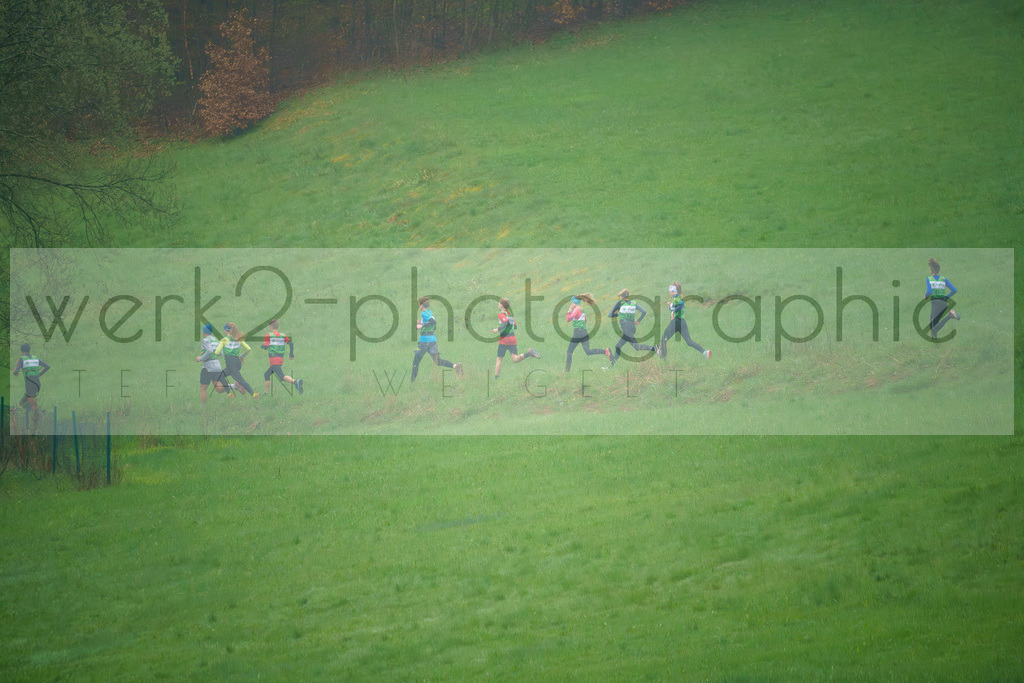 Frühjahrs-Cross  | Trusethal am 29. April 2023