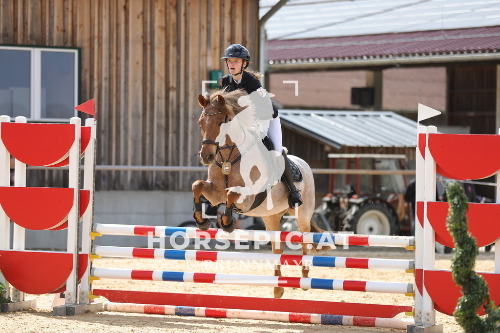 0P6A7752 | Willkommen bei Brunnmayr - Design & Fotografie – Ihrem Spezialisten für Reitturniere und Pferdeveranstaltungen in Oberösterreich, Salzburg und Bayern! Seit über 17 Jahren sind wir leidenschaftlich dabei.