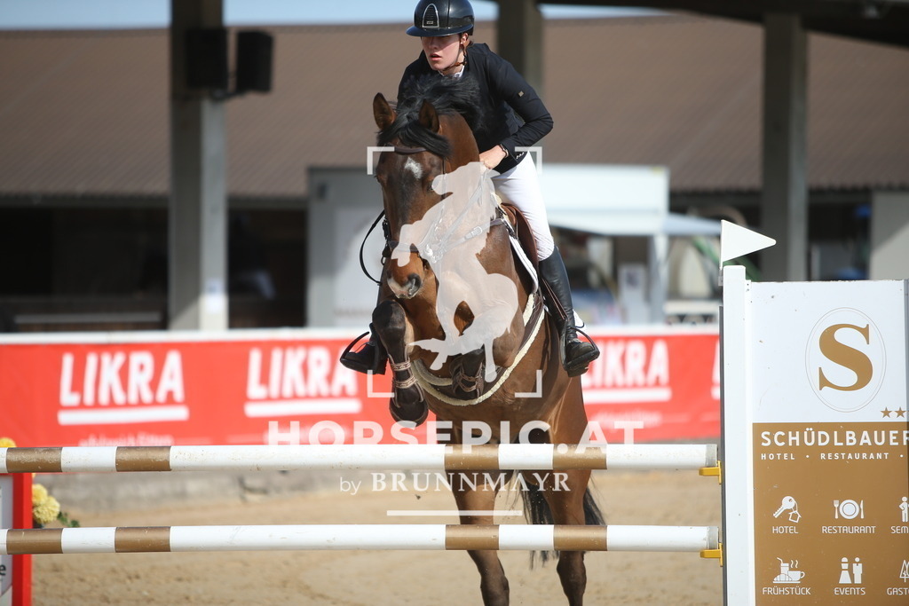 AS8V5733 | Willkommen bei Brunnmayr - Design & Fotografie – Ihrem Spezialisten für Reitturniere und Pferdeveranstaltungen in Oberösterreich, Salzburg und Bayern! Seit über 17 Jahren sind wir leidenschaftlich dabei.