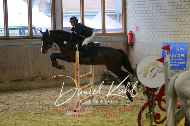 IMG_0826 | Deine Turnierfotos vom Reitturnier online kaufen: Dressur, Springen & Siegerehrung. Professionelle Pferdefotografie aus dem Rheinland – als Download & Print.Alternative: Turnierfotograf für den Pferdesport: Finde deine Fotos von Dressur- und Springturnier
