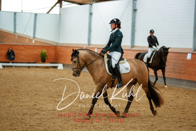 _62_6271 | Turniersportfotografie; Pferdefotografie; Dressurfotografie