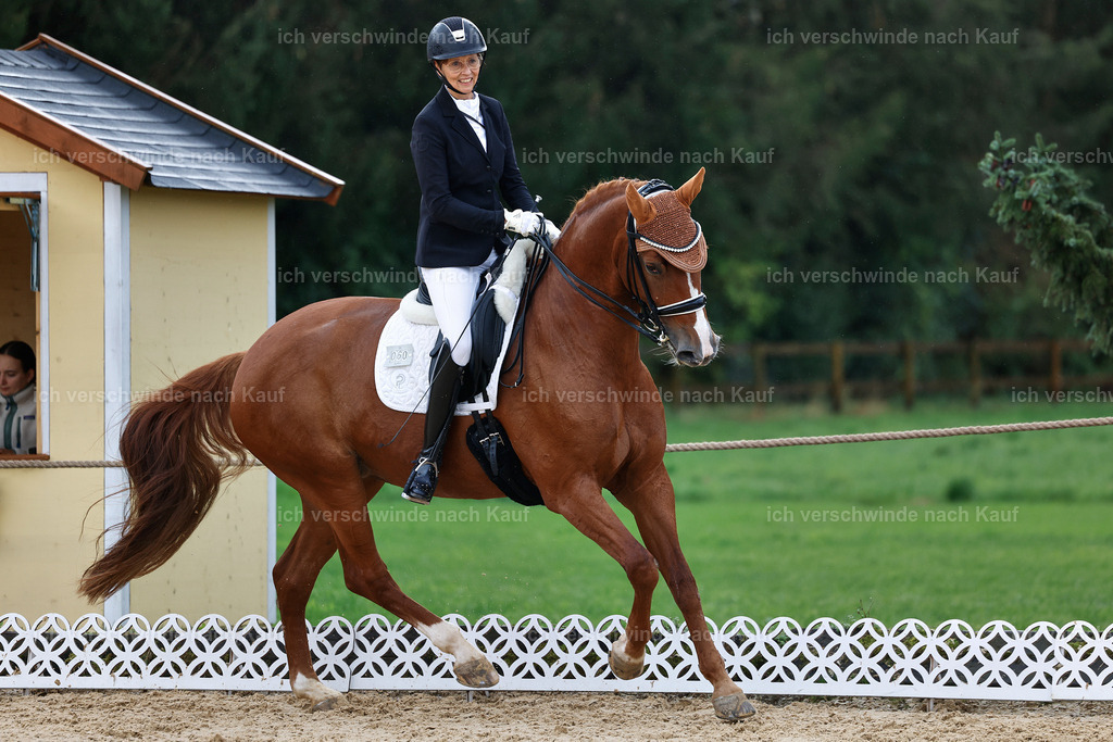 05-060-DRESSUR M_  -StoibPH-4924 | working equitationturnier fotograf videograf stoibphotography marixx film working equitation deutschland reitsport turnierfotografie eventfotografie equestrian events