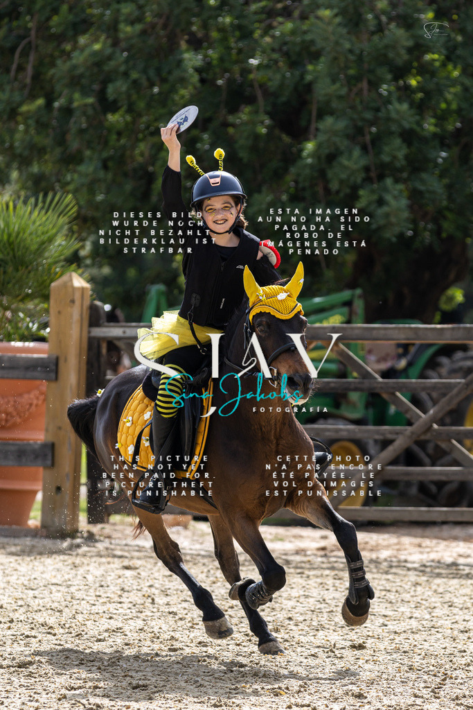 IMG_2788 | s-jay-photography - Realisiert mit Pictrs.com