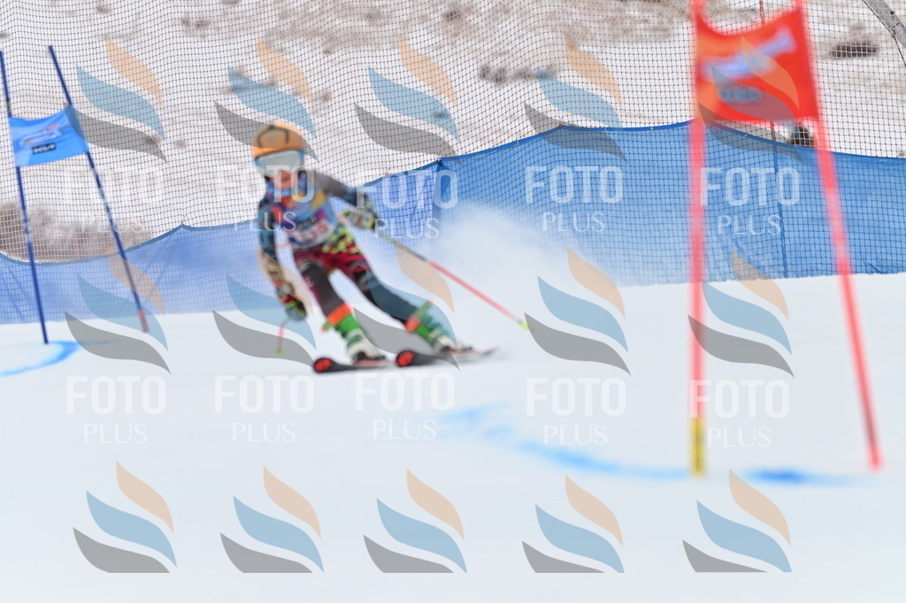 BGV_9800 | holidayphoto