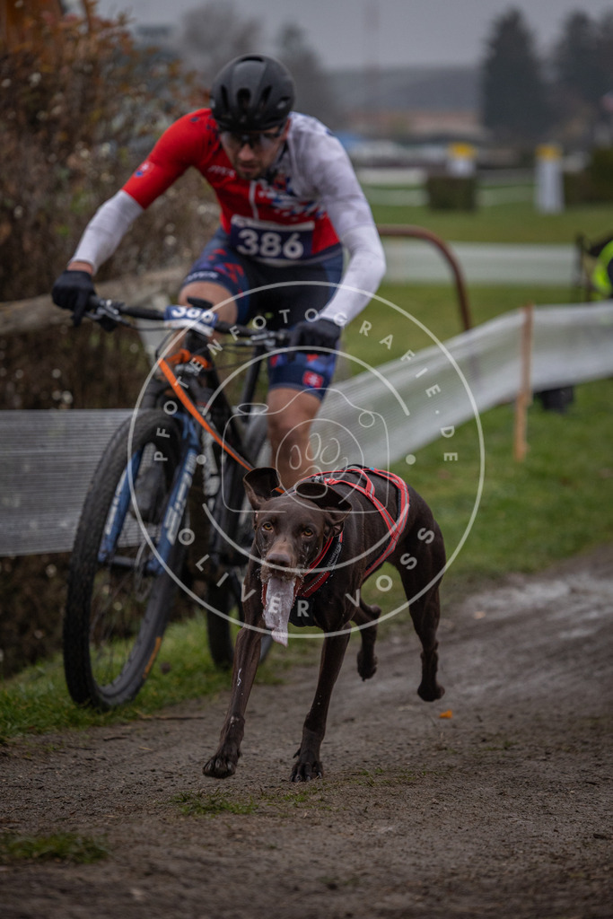 CaniXpix_0L8A1123 | Hundefotografie, Tierfotograf, Pfotenfotografie, Fotoshooting Hund, Hunde Portrait, Hundesport, Hundeportraits, Heideshooting, Hunde, Sportfotograf, Hundefotograf, Turnierhundsport, THS,  - Realisiert mit Pictrs.com