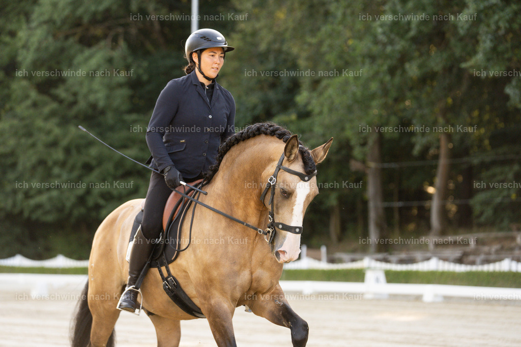WA_DR_93_SinaFilmArt_IN09878 | working equitationturnier fotograf videograf stoibphotography marixx film working equitation deutschland reitsport turnierfotografie eventfotografie equestrian events