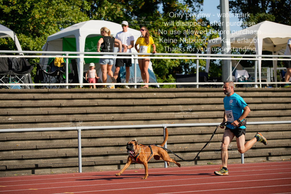 Sonntag_Staffel (45 von 336) | stephaniefillaphotographie - Realisiert mit Pictrs.com