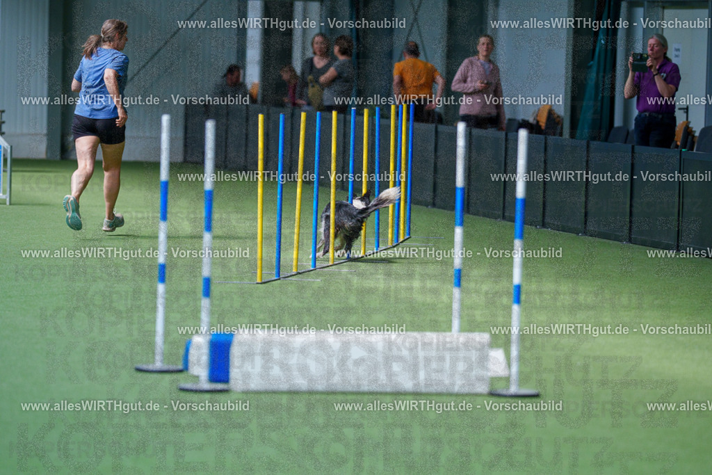 @allesWIRTHgut_Tierfotografie - www.allesWIRTHgut.de - 2604261400-7R503186 | Professionelle Tierfotografie in Mönchengladbach von Daniel Wirth (allesWIRTHgut). Liebevolle & natürliche Bilder von Hunden & Katzen für unvergessliche Erinnerungen.