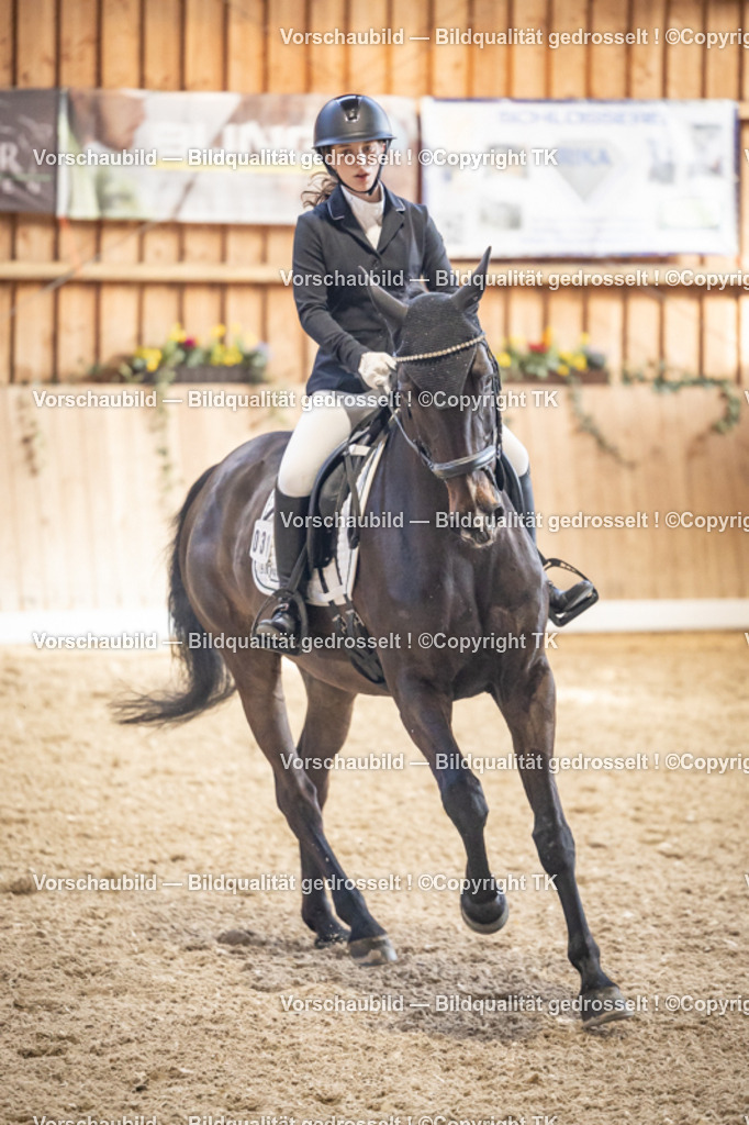 _D5A1319 | Emotionale Pferde- & People-Fotografie rund um Heidelberg, Leimen & Umgebung. Natürliche Fotos von Pferd, Mensch & Familie. Jetzt Termin sichern!