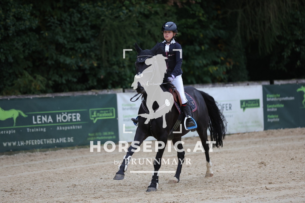 0P6A4672 | Willkommen bei Brunnmayr - Design & Fotografie – Ihrem Spezialisten für Reitturniere und Pferdeveranstaltungen in Oberösterreich, Salzburg und Bayern! Seit über 17 Jahren sind wir leidenschaftlich dabei.