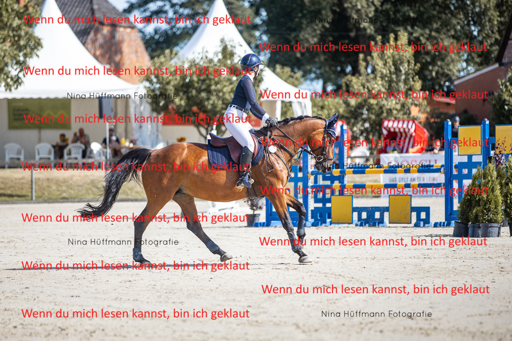 BK1A6998 | Turnierbilder Turnierfotos Nina Hüffmann Turnierfotografie Pferdefotografie Tierzeichnung Haustierzeichnung Pferdezeichnung Hundezeichnung Videograf  - Realisiert mit Pictrs.com