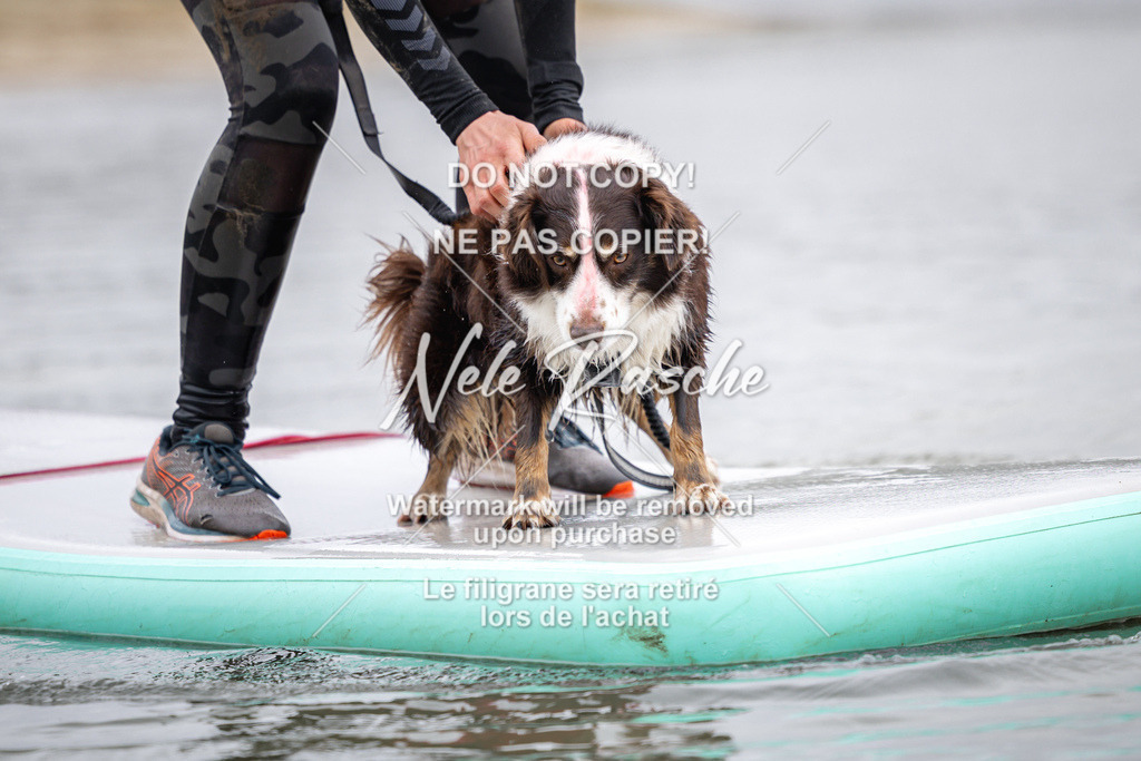 nelerasche_Hulsbeek_Sa1130-1230_161 | nelerasche