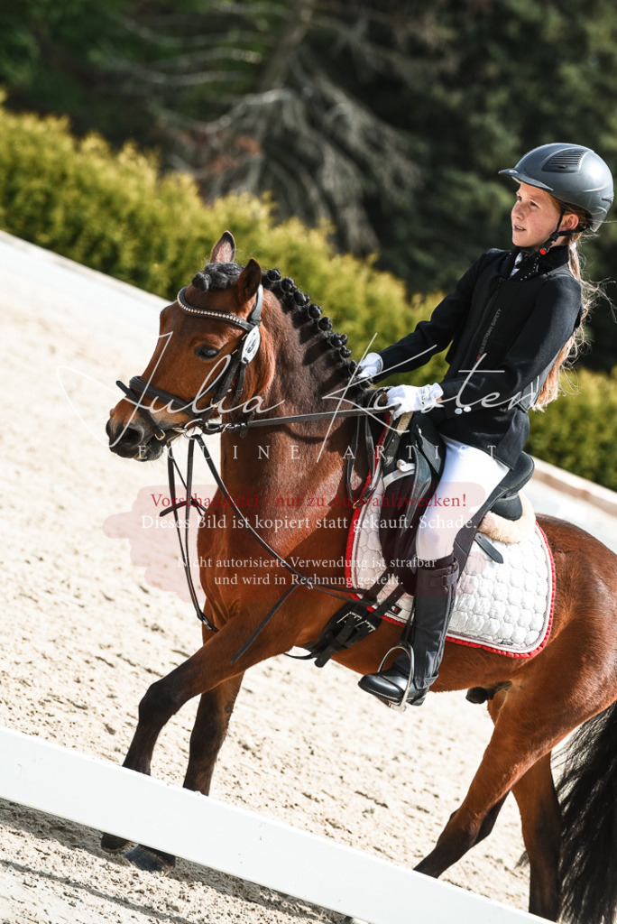 20230518_JK-Röhrsdorf-11-0787 | Pferde- und Turnierfotografie in Westsachsen. Pferdeportraits, Auftragszeichnungen und intuitive Kunst.