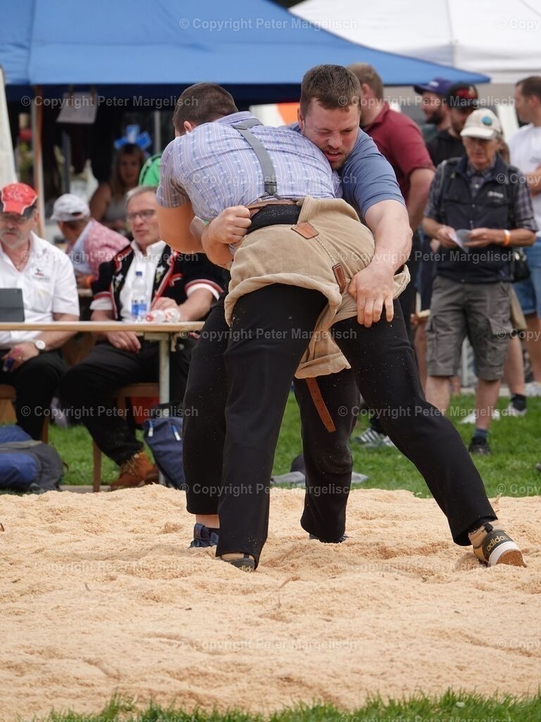 k-DSC06197 | Schwingen - Realisiert mit Pictrs.com