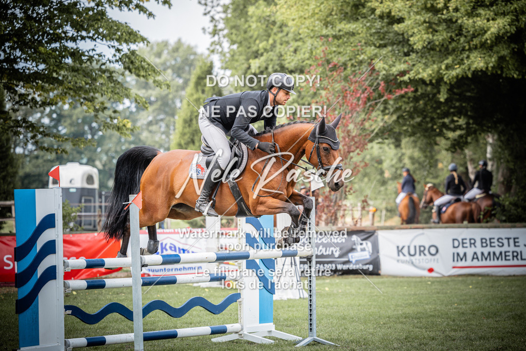 nelerasche_SprL__110Ede_74 | nelerasche