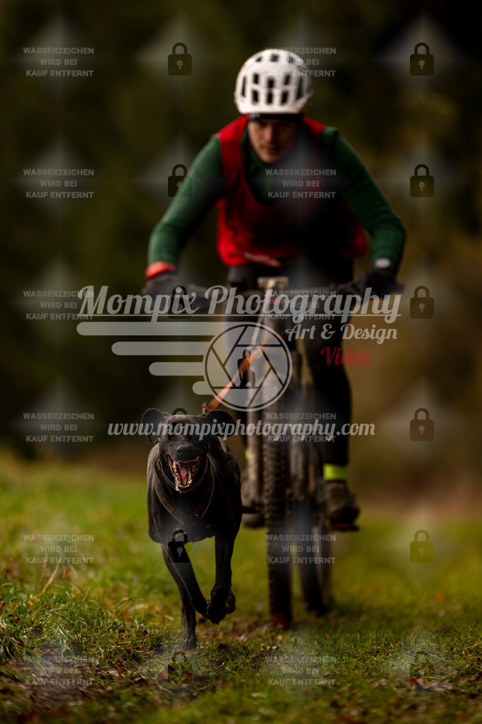 MompixPhotography_2SSTSSBW_2025_SO_Bike-61 | PayLife