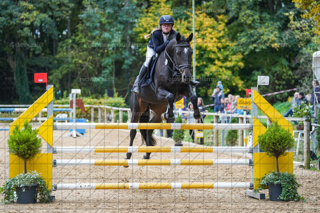 20221009-FAH08988 | Diessen am Ammersee, 2022, Dressur- und Springturnier, Reitsportbilder, Turnierfotografen Bayern, Pferdefotografen, Fotoagentur Herrmann, Turnierbilder