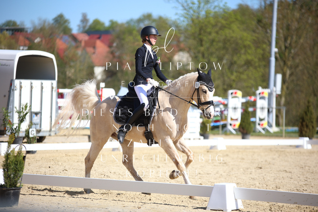 IMGT2059 | pl-fotografie